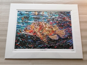 Scorpion Fish